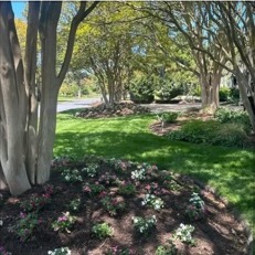 Mature landscaped property