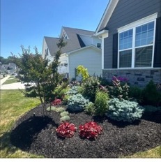 Fresh landscape bed installation