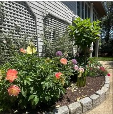 Flower garden