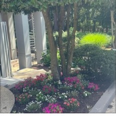 Shade bed maintenance