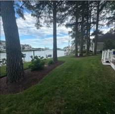 Waterfront landscape